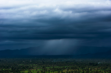 Storm clouds with rain over Palmyra palm field in Phetchaburi Thailand.の写真素材