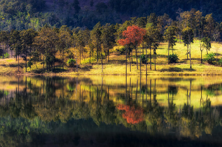 Beautiful autumn and reflections of colorful foliage on the silent water.の写真素材