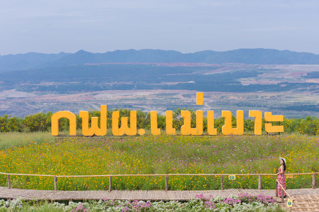 Beautiful woman in nature flower, Her wear white dresses and red hat at view point in Tung Bua Tong, Mexican sunflower field in Mae Moh Electricity Generating Authority of Thailand.の写真素材