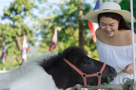 Beautiful Asian girl relaxing in the resort wearing white dress with Lovely dwarf horse in the farm chiang mai, thailand.の写真素材