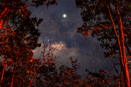Milky way galaxy with stars and space dust in the universe, long speed exposure.の写真素材
