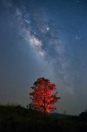 Milky way galaxy with stars and space dust in the universe over red tree, long speed exposure.の写真素材