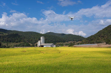 Agriculture drone fly on sky above the wheat field; Industrial agriculture and smart farming and farm structures on a background.の写真素材