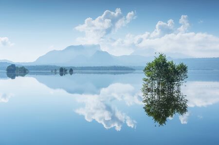 Soft focus spectacular nature, mountains, sky, trees and white egrets reflecting the water.の写真素材