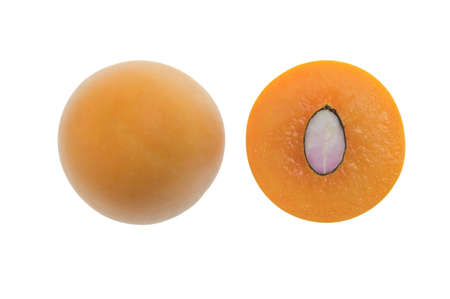 Maprang is the name of a tropical fruit in the family. Anacardiaceae (Same family as mango, olive, etc.) originated in Southeast Asia, Marian Plum, Plum Mango (Bouea macrophylla Griffith).の写真素材