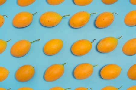 Maprang is the name of a tropical fruit in the family. Anacardiaceae (Same family as mango, olive, etc.) originated in Southeast Asia, Marian Plum, Plum Mango (Bouea macrophylla Griffith).の写真素材