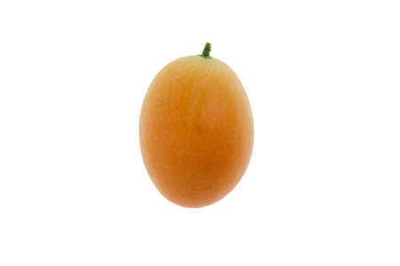 Maprang is the name of a tropical fruit in the family. Anacardiaceae (Same family as mango, olive, etc.) originated in Southeast Asia, Marian Plum, Plum Mango (Bouea macrophylla Griffith).の写真素材