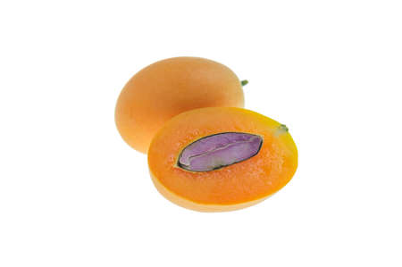 Maprang is the name of a tropical fruit in the family. Anacardiaceae (Same family as mango, olive, etc.) originated in Southeast Asia, Marian Plum, Plum Mango (Bouea macrophylla Griffith).の写真素材