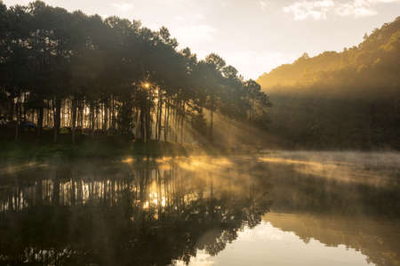 Camping and tent under the pine forest in sunset at Pang Oung (Pang Tong reservoir), Pang Oung lake with reflection of pine tree in a lake, Pang Oung Mae Hong Son province, North of thailand.の写真素材