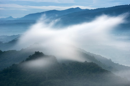 Beautiful fog over green forest on mountain, Aerial view sunrise over the mountain range at the north of thailand, Beauty rainforest landscape with fog in morning.の写真素材