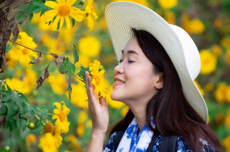 Asian women enjoy watching and smelling the clear flowers in the yellow flower garden, Mexican sunflower.の写真素材
