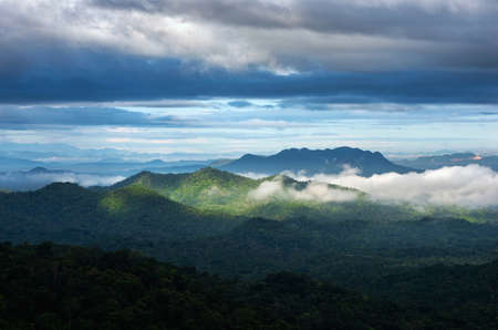 Beautiful fog in a forest with green mountains. There was a shadow of clouds across the forest.の写真素材