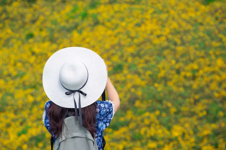Young woman photographs a Mexican sunflower field, beautiful yellow flowers on the mountain. Doi Mae U Kho, Mae Hong Son Province.  Thailand.の写真素材