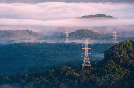 Transmission tower in green forest and beautiful morning smooth fog. Energy and environment concept. High voltage power poles.の写真素材