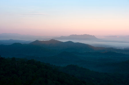 Beautiful mist in the morning green forest.の写真素材