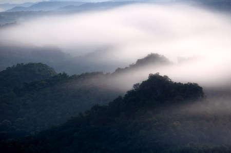 Aerial view. Beautiful fog in the forest with green mountains.の写真素材