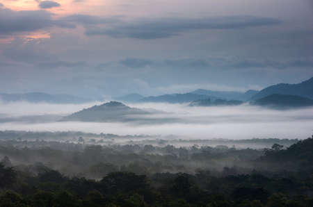 Aerial view. Beautiful fog in the forest with green mountains.の写真素材