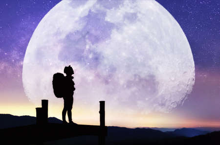 Landscape with Moon and Milky Way. Night sky with stars and silhouette of a standing happy women on the mountain, Success or winner, leader concept. High iso with Noise.の写真素材