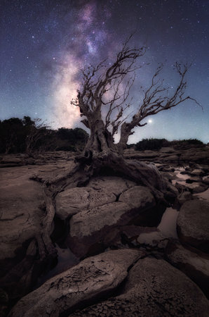 Beautiful Milky Way Galaxy with dry trees rocks and shadow of the Milky Way along the Mekong River. Chang Chiang Mob, Ubon Ratchathani, Thailandの写真素材
