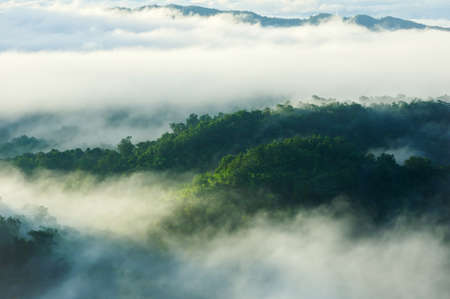 Aerial view beautiful sea of fog in the morning forest with green mountains. Pang Puay, Mae Moh, Lampang, Thailand.の写真素材