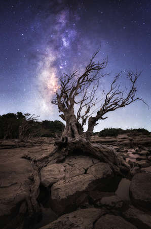 Beautiful Milky Way Galaxy with dry trees rocks and shadow of the Milky Way along the Mekong River. Chang Chiang Mob, Ubon Ratchathani, Thailandの写真素材