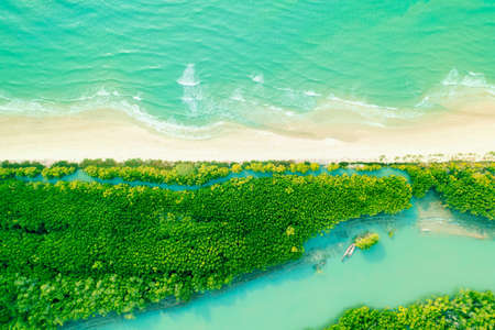 The aerial views, sea waves and mangrove forests are clear sky on a bright day. Phetchaburi Province, Thailand.の写真素材
