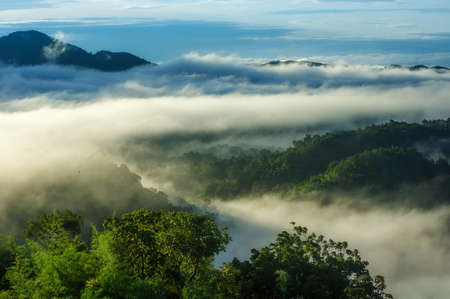 Aerial view beautiful sea of fog in the morning forest with green mountains. Pang Puay, Mae Moh, Lampang, Thailand.の写真素材