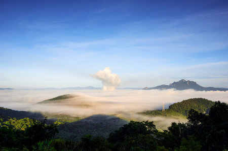 Beautiful fog in the morning forest with green mountains and high voltage pole. Pang Puay, Mae Moh, Lampang, Thailand.の写真素材