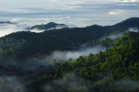 Aerial view beautiful sea of fog in the morning forest with green mountains. Pang Puay, Mae Moh, Lampang, Thailand.の写真素材