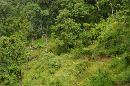 The view on the way up to Doi Luang Chiang Dao, Chiang Mai, Thailand.の写真素材
