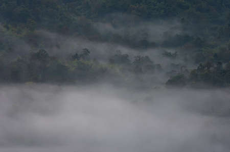 Aerial view Rain forest and morning fog, Pang Puai, Mae Moh, Lampang, Thailand.の写真素材
