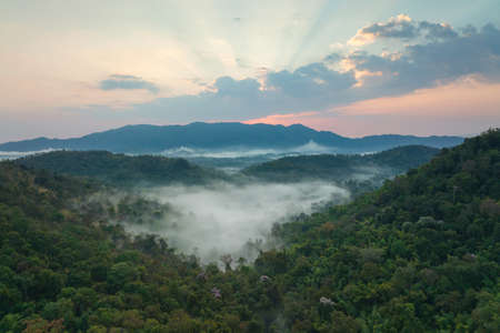 Fog in the morning forest with green mountains. Pang Puai, Mae Moh, Lampang, Thailand.の写真素材