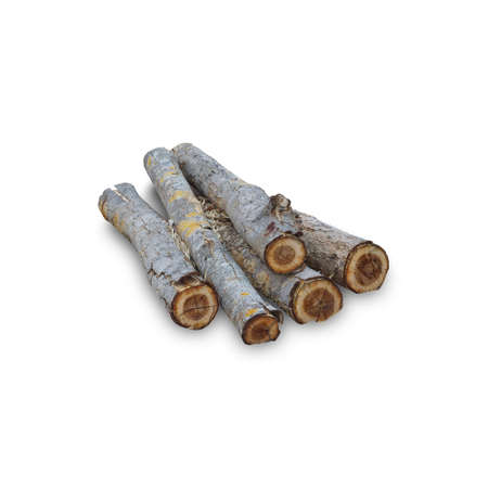 Teak stump isolated on white background with clipping path, The stump of a teak tree that has been cut short.の写真素材