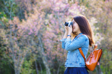 Beautiful Young Asian backpacker using vintage camera take a photo and smiling happiness in the midst of spring cherry blossoms bloom Travel lifestyle, world explorer, Asia travel idea.の写真素材