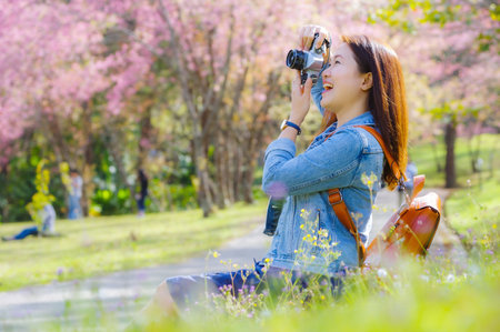 Beautiful Young Asian backpacker using vintage camera take a photo and smiling happiness in the midst of spring cherry blossoms bloom Travel lifestyle, world explorer, Asia travel idea.の写真素材