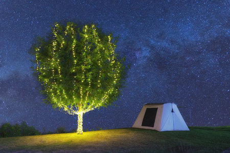 Beautiful tree adorn lights beside tent camping at night. There are milky way galaxy stars in the sky. Chaloem Phrakiat Park, Thung Bua Tong, Mexican sunflower field, Mae Moh, Lampang, Thailand.の写真素材