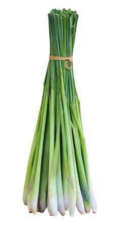 bundle of lemon grass isolated on whiteの写真素材