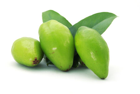 Madan,tropical thai fruitの写真素材