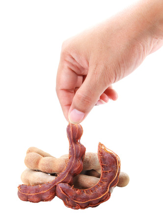 tamarindの写真素材