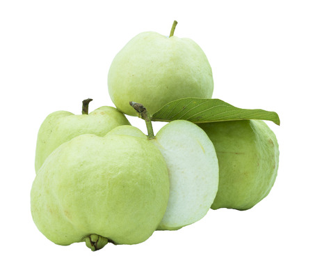 Green guavasの写真素材