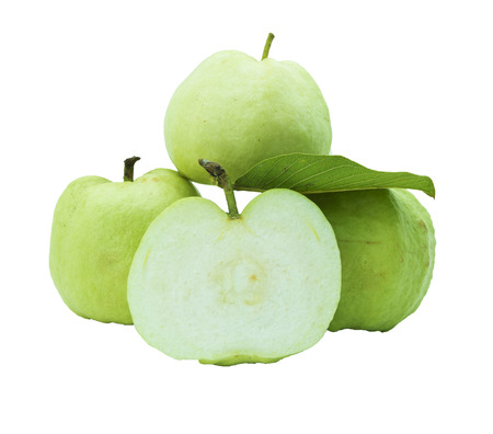 Green guavasの写真素材