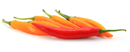 pepperの写真素材