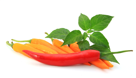 pepperの写真素材