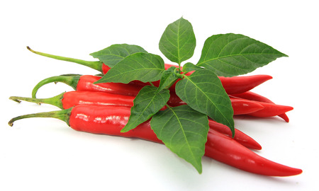 pepperの写真素材