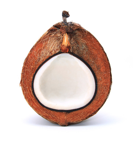 Coconutの写真素材