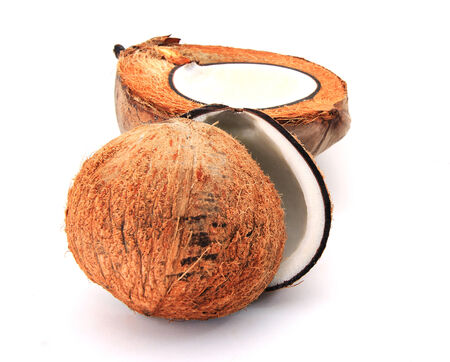 Coconutの写真素材