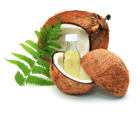 Coconutの写真素材