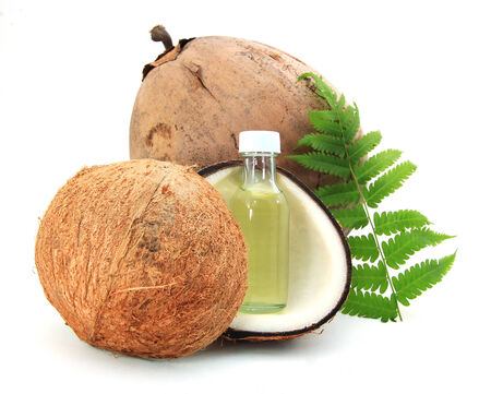 Coconutの写真素材