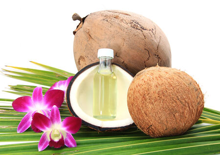 Coconutの写真素材