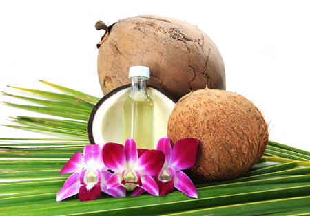 Coconutの写真素材